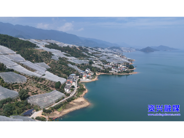 守好品质“生命线”  东江湖蜜桔俏销全国
