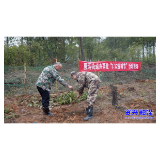 唐洞街道：共植“春色”    4500株苗木为山场添新绿