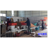 蓼江镇：“流水线”育秧    孕育“好苗头”