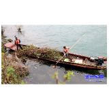 市环卫中心：春季河道整治 守护碧水清流