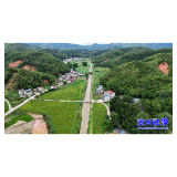风雨逆行者②丨村支书黎忠文:二十一载守乡土 风雨之中护民安