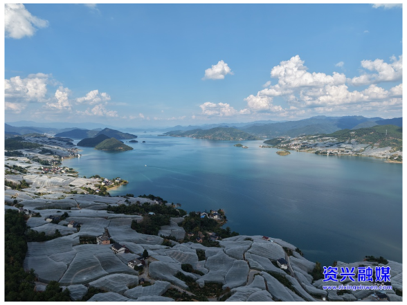 清江柑橘品质升级“抢鲜”上市 “双线”热销助农增收