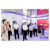 怀化市政协调研组来资调研硅材料产业发展工作