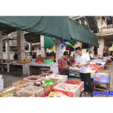 滁口镇：防范灾害风险 筑牢安全防线