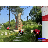 回龙山瑶族乡：党建引领聚合力 种花植绿添新彩