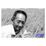 3年了，袁老的种子精神洒满人间……