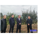 市人大常委会:开展专题调研 助力柑橘产业发展