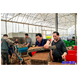 春耕备耕 | 蓼江镇：大棚育秧  助力春耕生产“加速度”