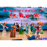 中小学生“三独”比赛：展现艺术风采 绽放青春活力