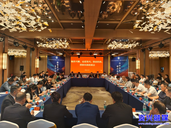 郴州市侨商联合会“侨聚资兴 笃行致远”交流活动在我市举行