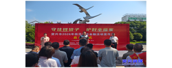 守住钱袋子 护好幸福家！我市2026年防范非法金融活动宣传月正式启动