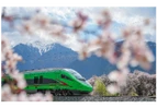 镜观·回响｜擦亮兴边富民的“桃花村”品牌