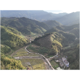 州门司镇：古法榨出致富路  青山叠翠溢油香