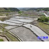 聚焦灾后重建 |  州门司镇丹坳村：抢农时保生产 制种插秧正当时