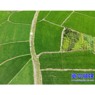 省粮食和物资储备局：耕地修复 为乡村发展“耕”出新希望       