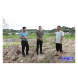 加快推进灾后恢复重建和产业振兴  着力描绘乡村振兴新画卷