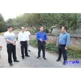 陈占华调研督导溶洞污染排查整治工作