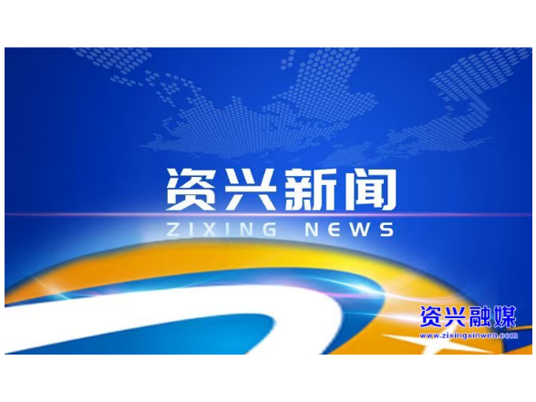 市委常委会召开2026年第12次会议