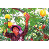 【郴州日报】图片新闻