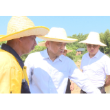张爱国到资兴调研乡村振兴和市乡人大换届选举工作