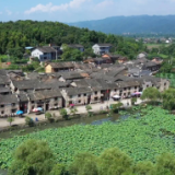 二十大时光 | 二十大报告大家谈（三）