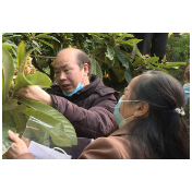 我市开展“一户一产业工人”培养工程冬季果树管理培训活动