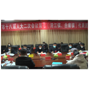 两会动态｜龙柏武参加人大第七代表团分团审议