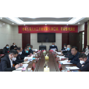 两会动态｜王仁庆参加人大第八代表团分团审议