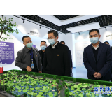聚焦十大重点工作·风险大防控 | 杨理诚督导校园安全工作：认真研判风险 切实消除隐患 建设平安校园