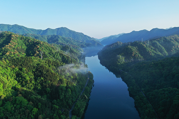 DJI_0250.jpg