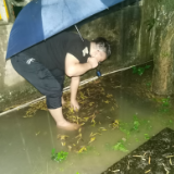 暴雨来临，这位校长这样守护学生安全