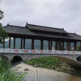 聚焦十大重点工作·乡村大振兴｜乡贤情暖大湾村