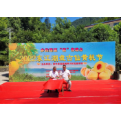 汤溪镇：以“桃”为媒 助力乡村振兴