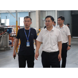 聚焦十大重点工作•项目大会战丨杨理诚调研园区项目建设：主动作为 奋力攻坚 全力推动项目建设提质增效