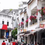 黄草镇“农旅融合”驶入“快车道”