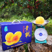 “高山桃王”亮相汤溪镇