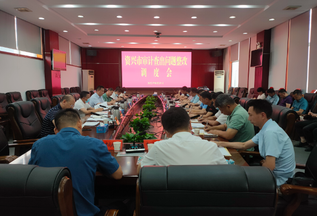 全市审计查出问题整改调度会召开