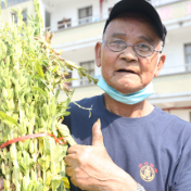 三都镇易地扶贫搬迁集中安置点：农场喜丰收   村民笑开颜