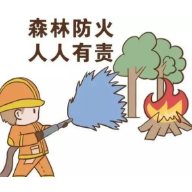 森林草原防火丨森林防火 重在预防