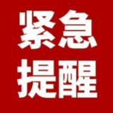 紧急通告！东江湖所有航班今天上午9:15起暂停发航