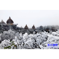 旅发进行时 ▏回龙山：雾凇景观美如画 银装素裹醉游人