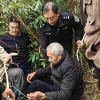 七旬老人坠崖悬挂半山腰 多方联动半小时成功营救