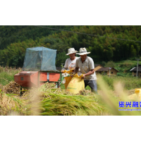 真情帮扶显成效！李家洞村灾后重建焕生机