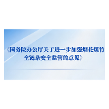 海报 | 国务院办公厅关于进一步加强烟花爆竹全链条安全监管的意见