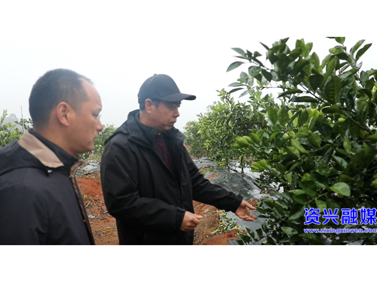 新春走基层丨科技专家“智囊团”   助推乡村产业提质增效