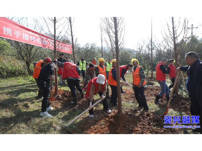 我市多部门联合开展义务植树活动：提升城市景观 助力旅发大会