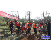 我市多部门联合开展义务植树活动：提升城市景观 助力旅发大会