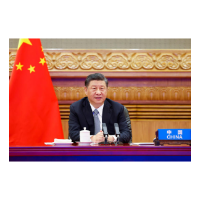 镜观·回响丨全球绿色发展 共享中国方案