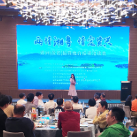 当好东道主 办好旅发会｜“两情湘粤 情定资兴”资兴（茂名）招商推介会举行