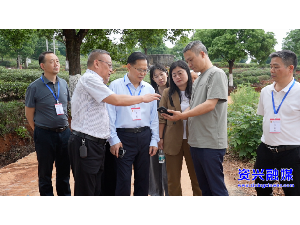 市政协开展重点提案督办调研协商活动